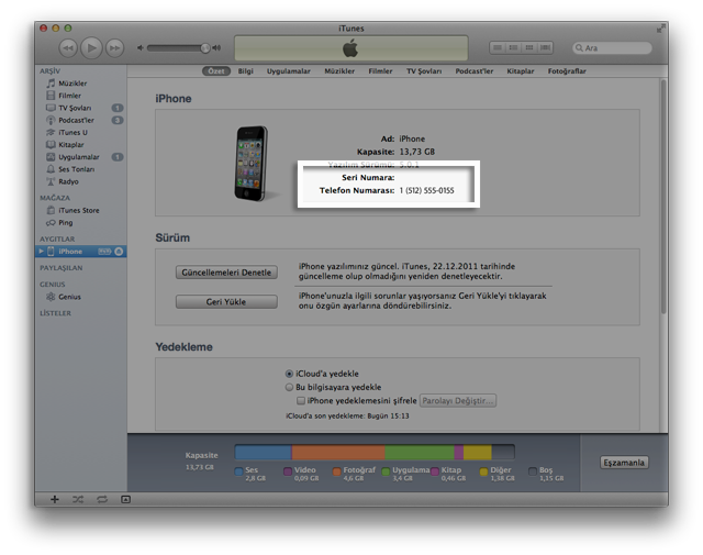 iTunes Özet sekmesi
