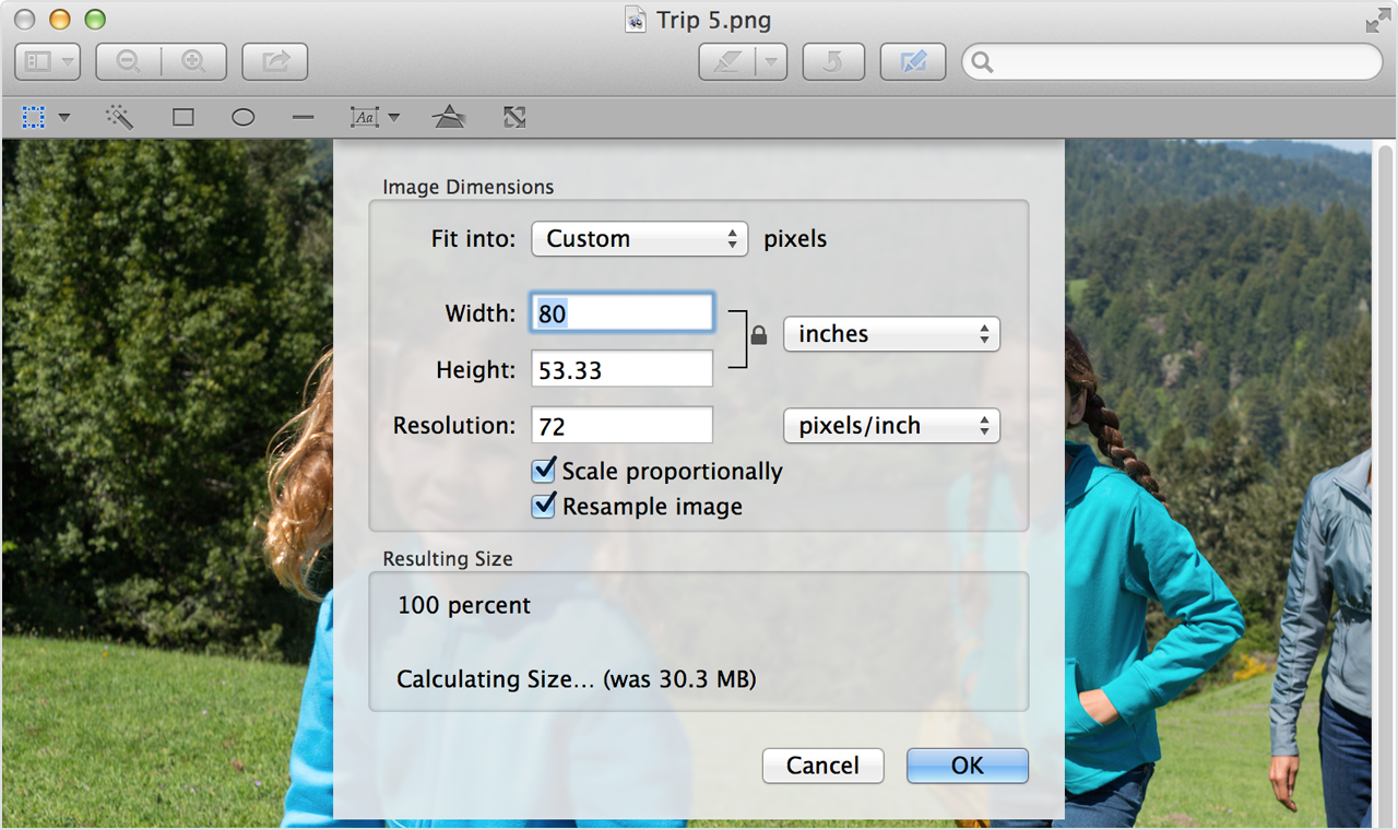 scale your image using width and height adjustments