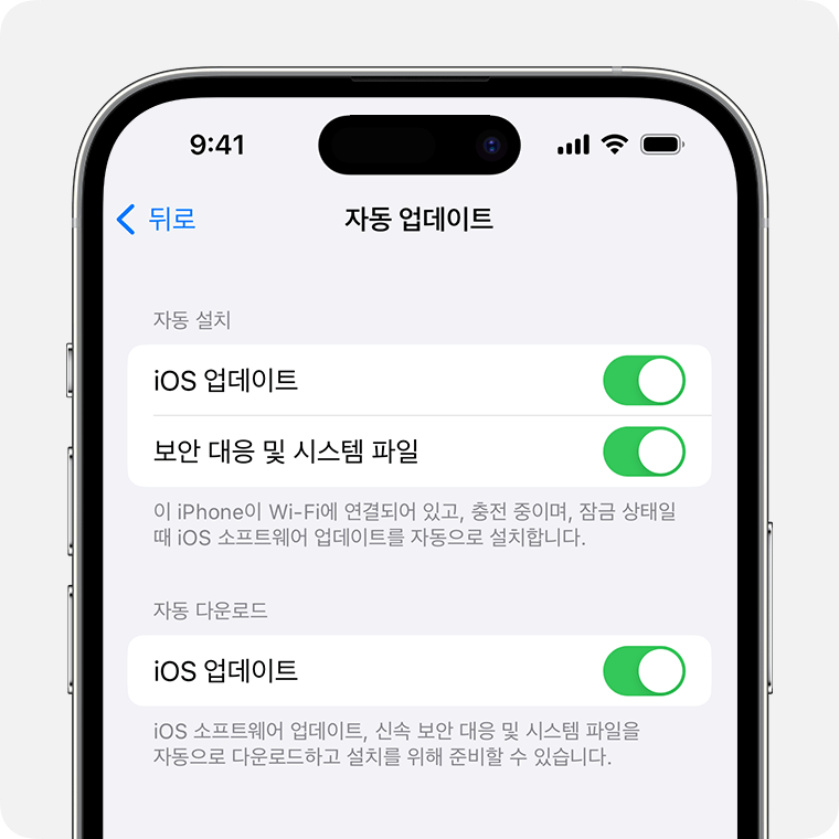 자동 업데이트를 켜는 옵션이 표시된 iPhone