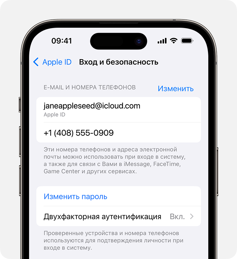 В настройках Apple ID найдите адреса электронной почты и номера телефонов, которые вы можете использовать для входа в учетную запись Apple ID.