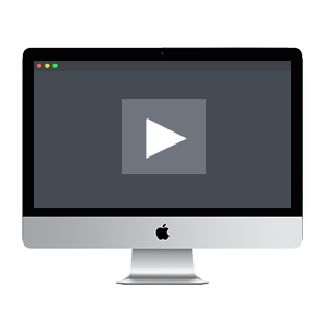 apple quicktime pro with flip4mac wmv components