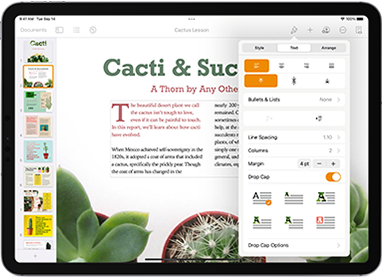 Procurar palavras no Pages no Mac - Suporte Apple (PT)