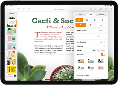 Annotate a Pages document on iPad - Apple Support