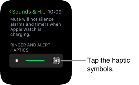 Adjust brightness, text, sound, and haptics on Apple Watch