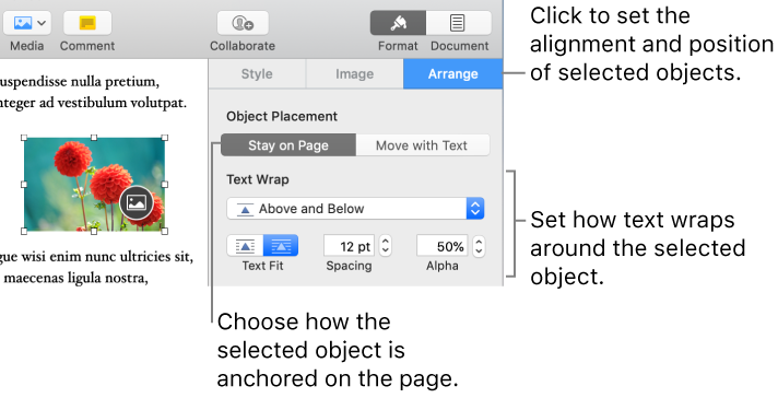 center text on page in word for mac