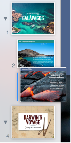 El navegador de diapositivas con una diapositiva sangrada y una línea a la izquierda.