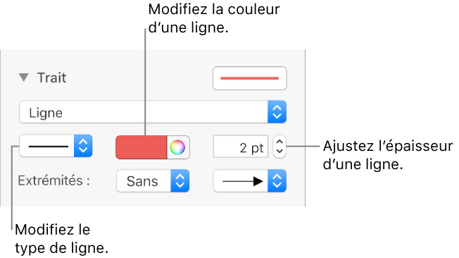 Pages Pour Mac Ajouter Des Lignes Et Des Fleches A Un