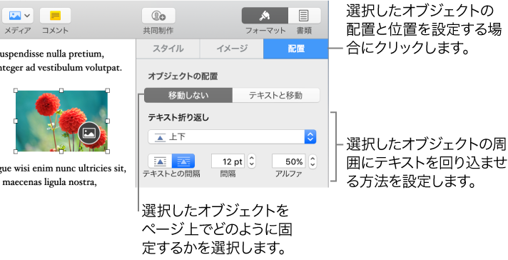 MacのためのPages: Pages書類でオブジェクトをテキストと共に配置する 