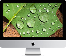 限定配送 Apple ⑥ 2015 inc iMac21.5 デスクトップ型PC