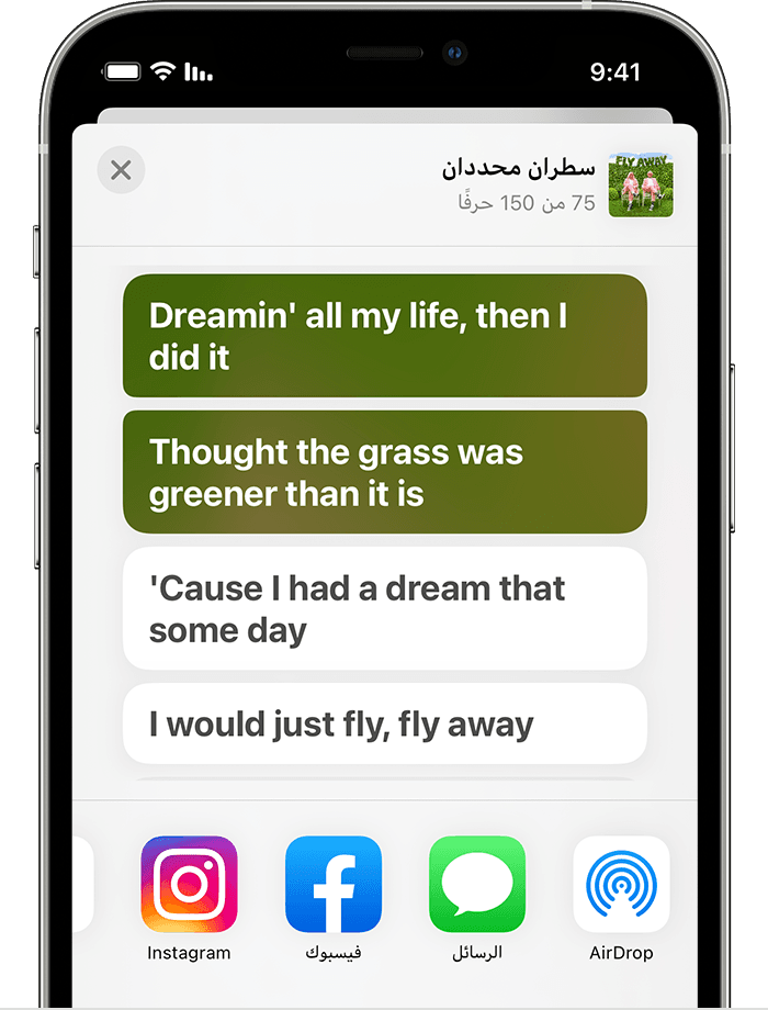 iPhone يعرض صفحة المشاركة وبها سطران من أغنية تم اختيارها. 