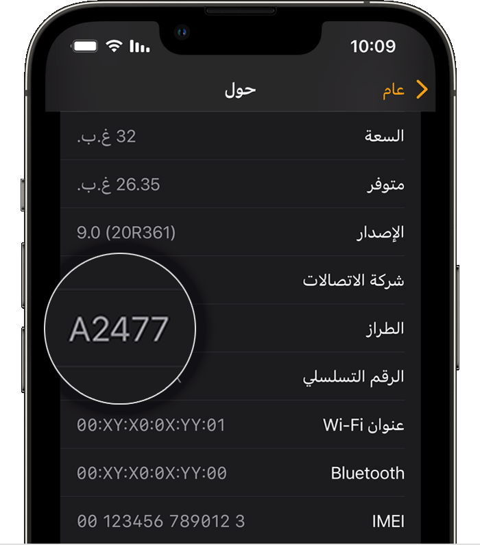 تعرّف طراز على Apple Watch - Apple الدعم (الإمارات)