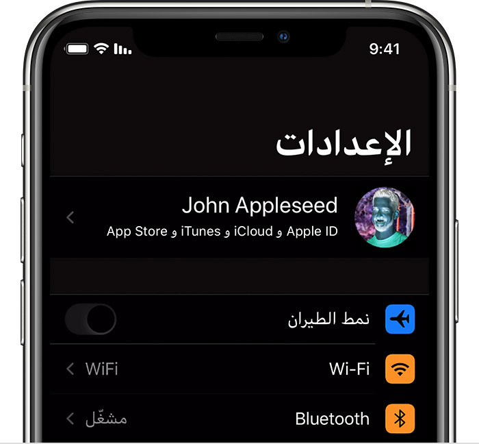 استخدم تفضيلات الشاشة وحجم النص على iPhone وiPad وiPod touch - Apple دعم  (الإمارات)