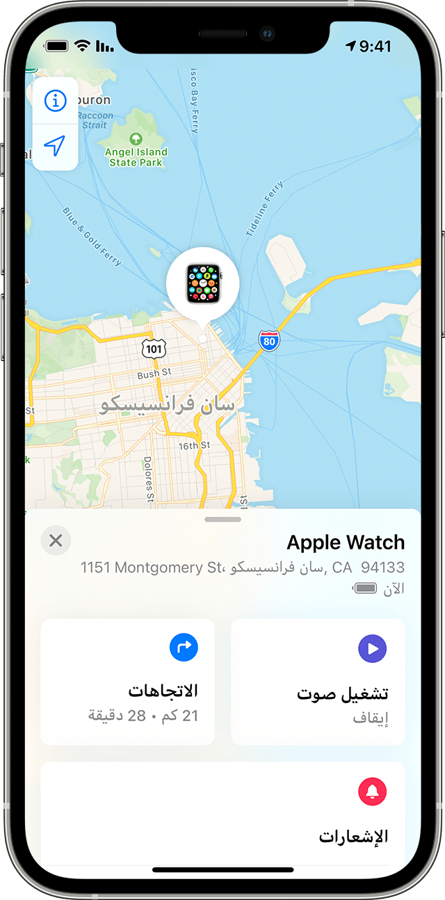 في حالة فقدان Apple Watch أو سرقتها - Apple الدعم (SA)