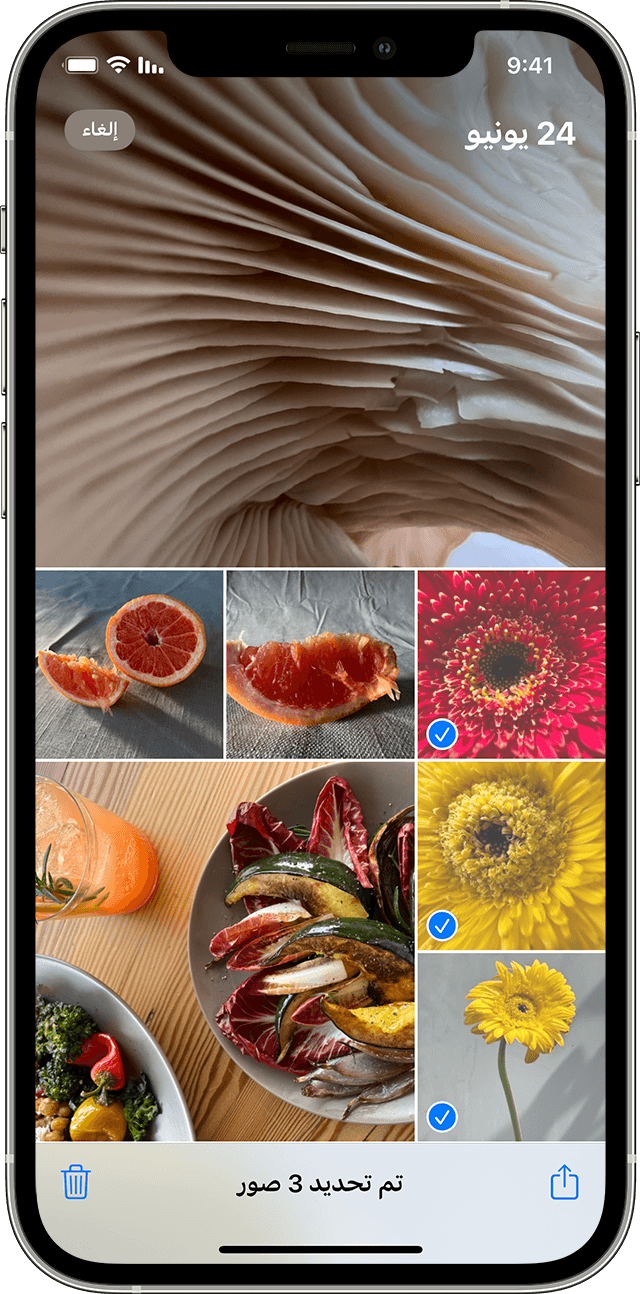 iPhone يعرض صورًا متعددة محددة في تطبيق 
