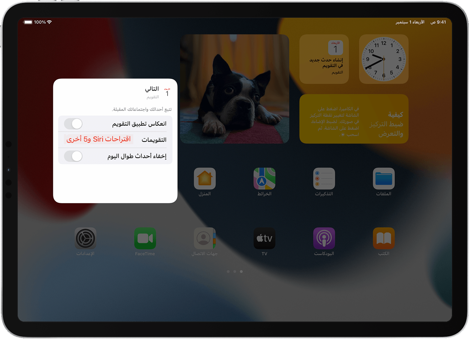 شاشة iPad تعرض خيارات أداة 