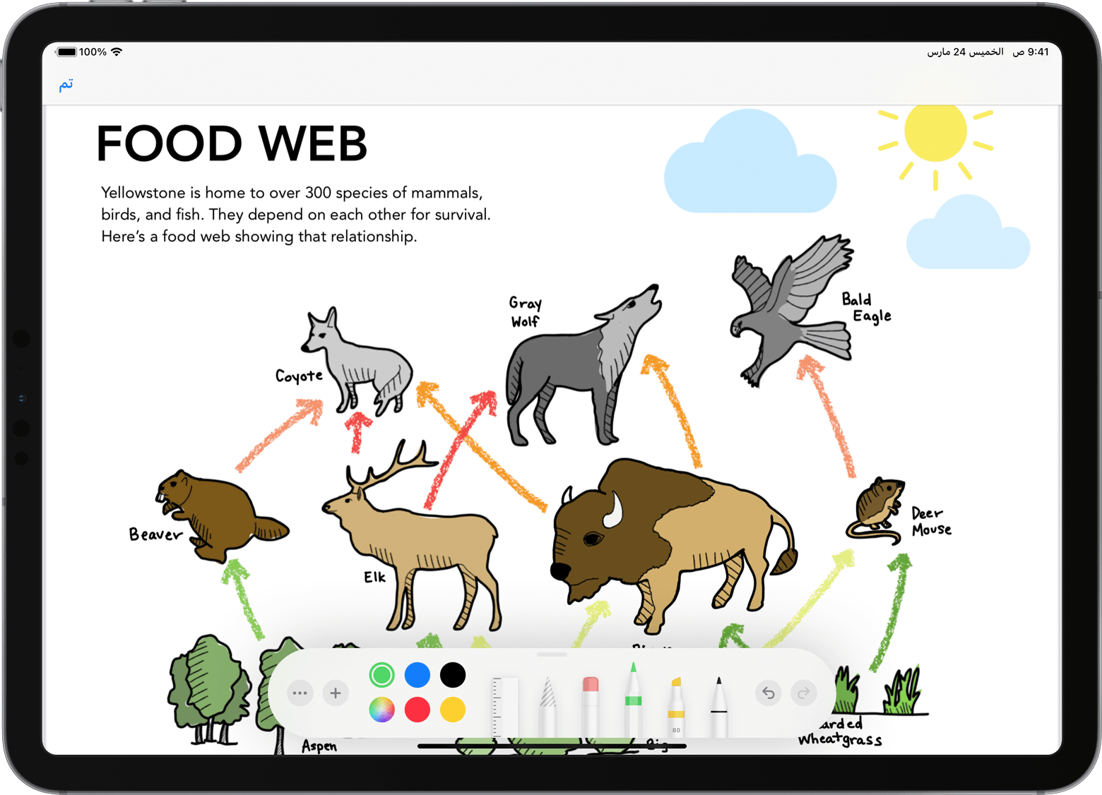 iPad مفتوح تظهر فيه أدوات الرسم والتوصيف
