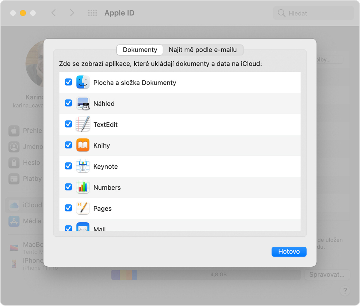 Obrazovka voleb iCloud Drivu na Macu s vybranou volbou Plocha a složka Dokumenty.