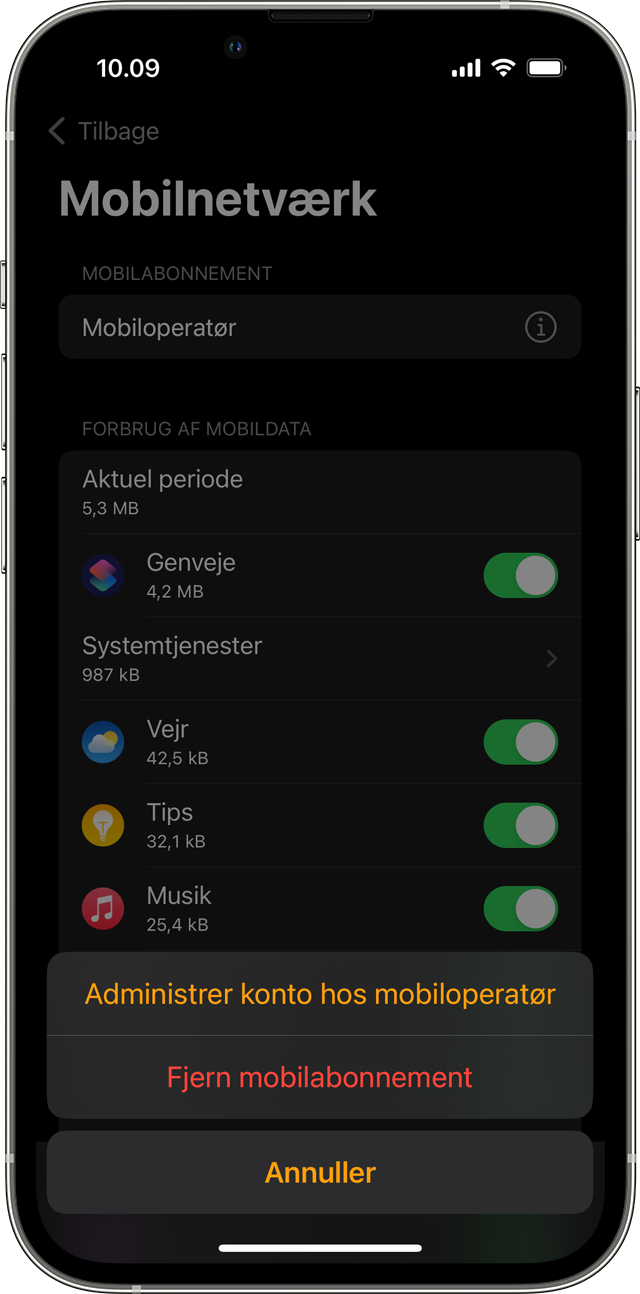 iPhone, der viser skærmen Mobilnetværk i appen Watch