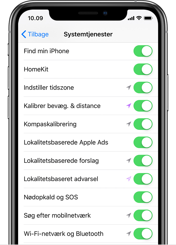 Skærmen Systemtjenester på iPhone.