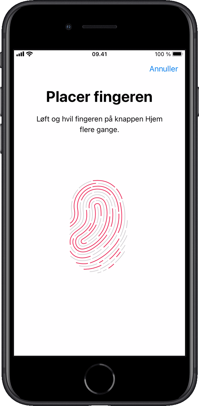 Den første skærm til indstilling af Touch ID