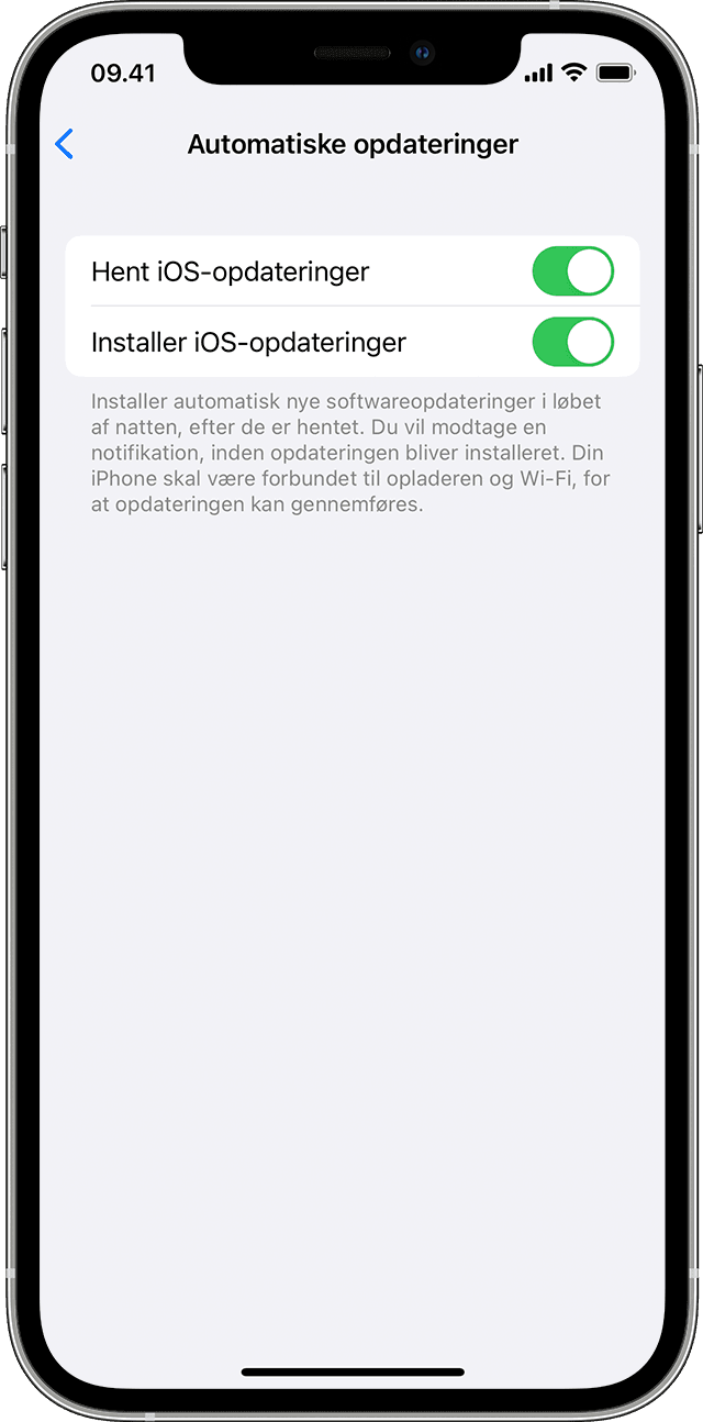 Siden Automatiske opdateringer i Indstillinger på iPhone, der viser muligheder for at downloade og installere iOS-opdateringer automatisk.