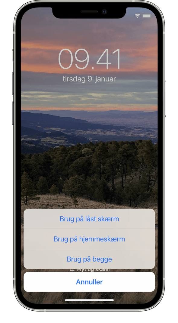 Du kan bruge et valgt billede som Baggrund til låst skærm på din iPhone, som Baggrund til hjemmeskærm på din iPhone eller begge dele.