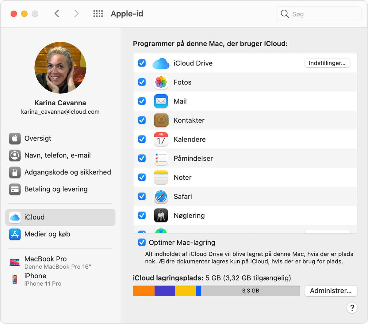 Skift dine iCloud-indstillinger - Apple-support (DK)