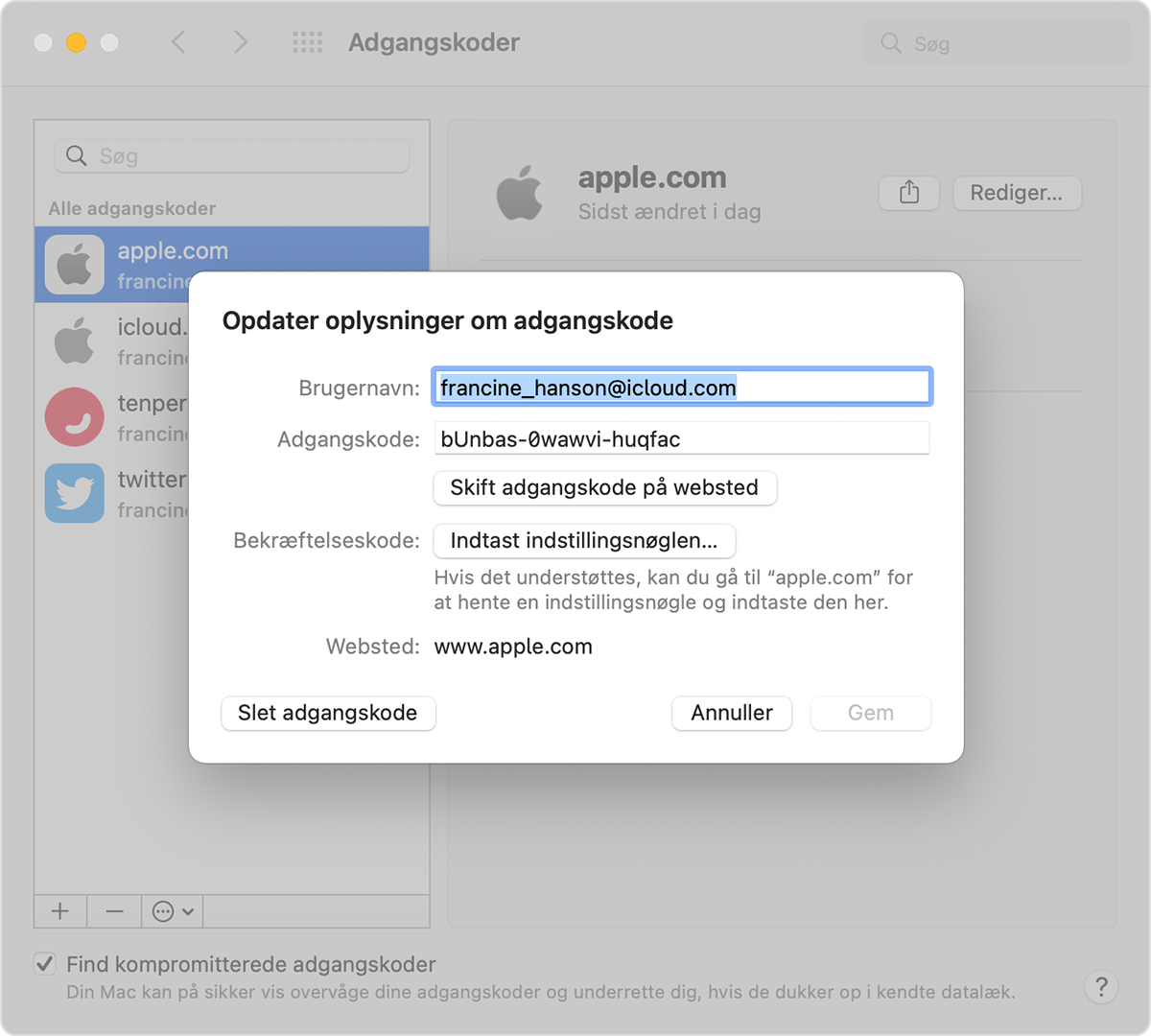 Når du har klikket på Rediger, kan du se dit brugernavn og din adgangskode, og du kan ændre eller slette din adgangskode. 