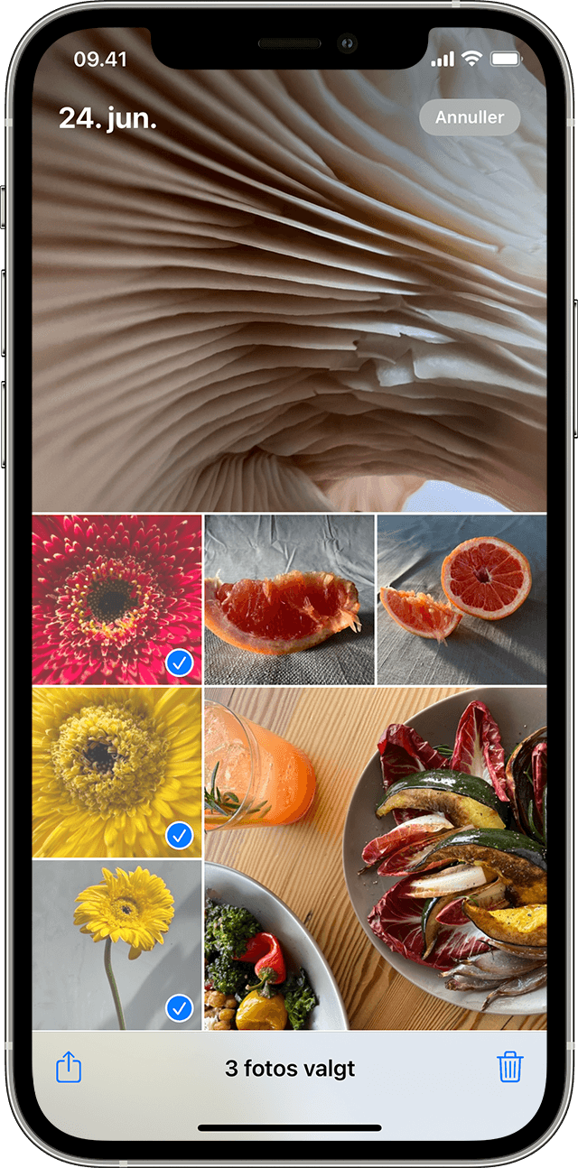 iPhone med en visning af flere fotos valgt i appen Fotos