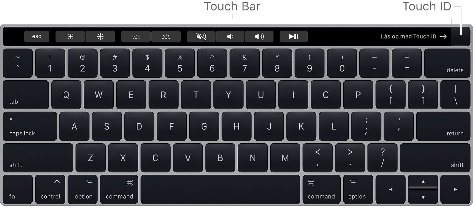 Brug af Touch ID på din Mac - Apple-support