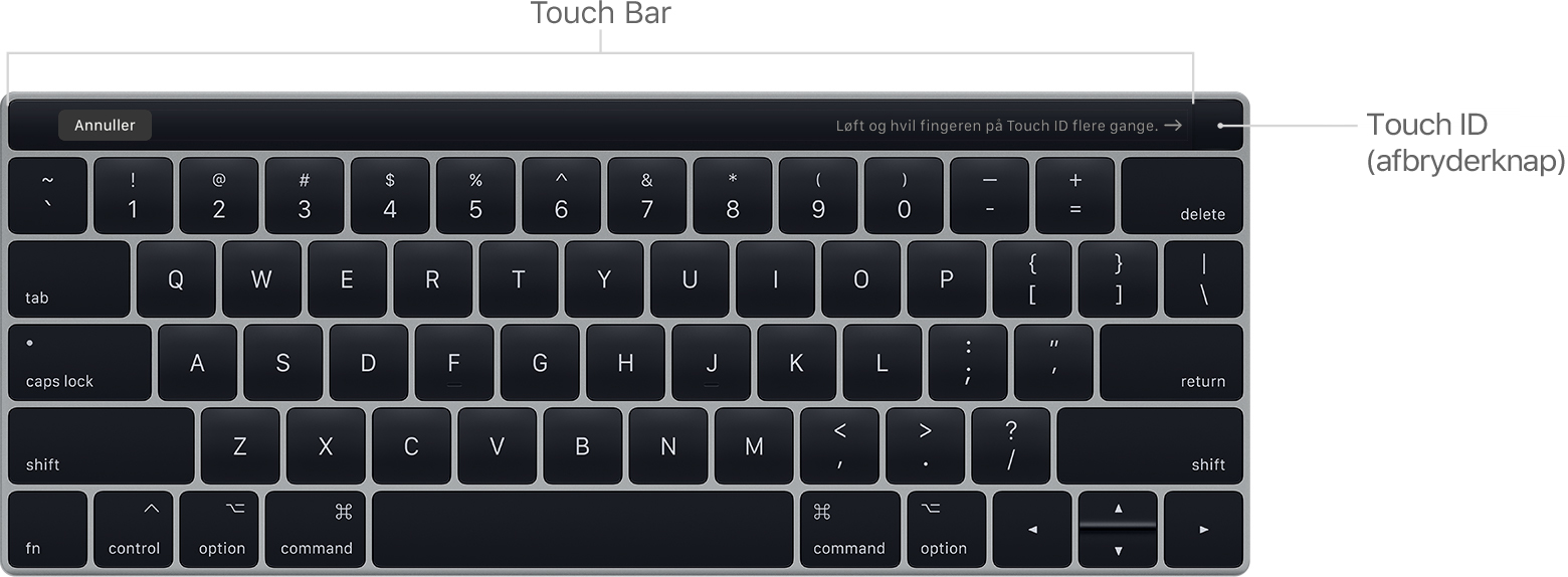 Brug af tilgængelighedsfunktioner sammen med Touch Bar på din MacBook Pro -  Apple-support (DK)