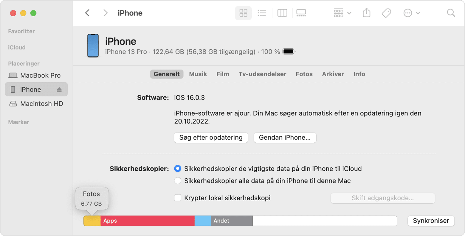 Sådan kontrollerer du lagringspladsen på din iPhone og iPad - Apple-support  (DK)