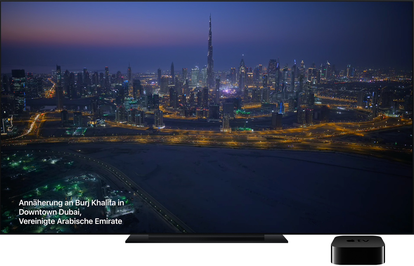 Ein Apple TV-Bildschirmschoner mit Luftaufnahmen von südafrikanischen Seebären. 