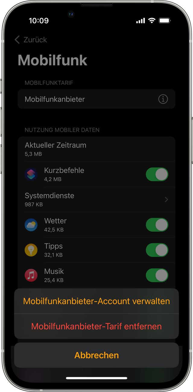 iPhone mit dem Bildschirm "Mobiles Netz" in der Watch-App