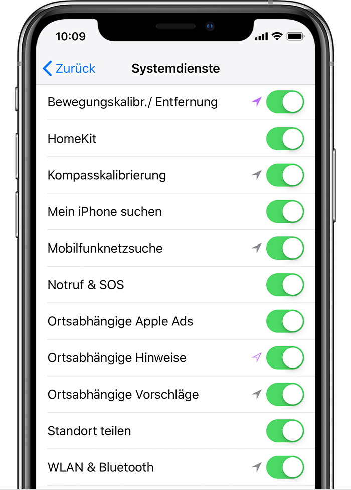 Bildschirm "Systemdienste" auf dem iPhone.