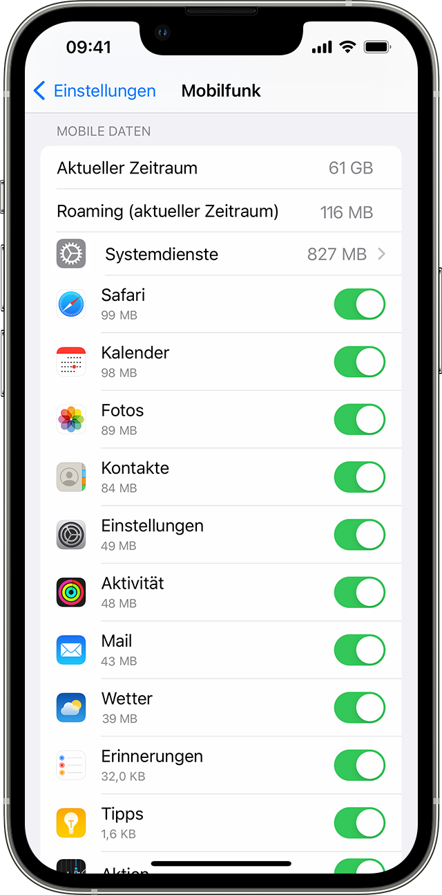 iPhone-Bildschirm zum Anzeigen der mobilen Datennutzung