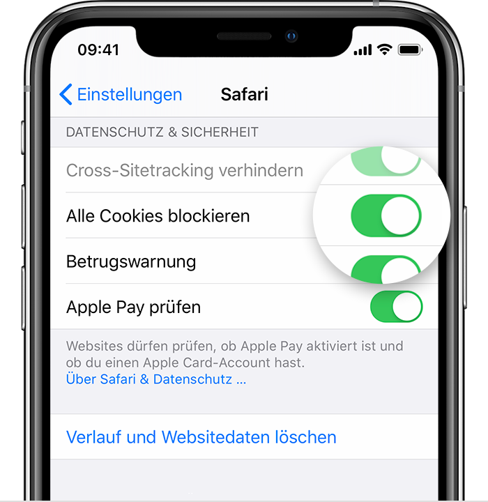 Uber Dein Iphone Ipad Oder Deinen Ipod Touch Den Verlauf Sowie Cookies Aus Safari Loschen Apple Support