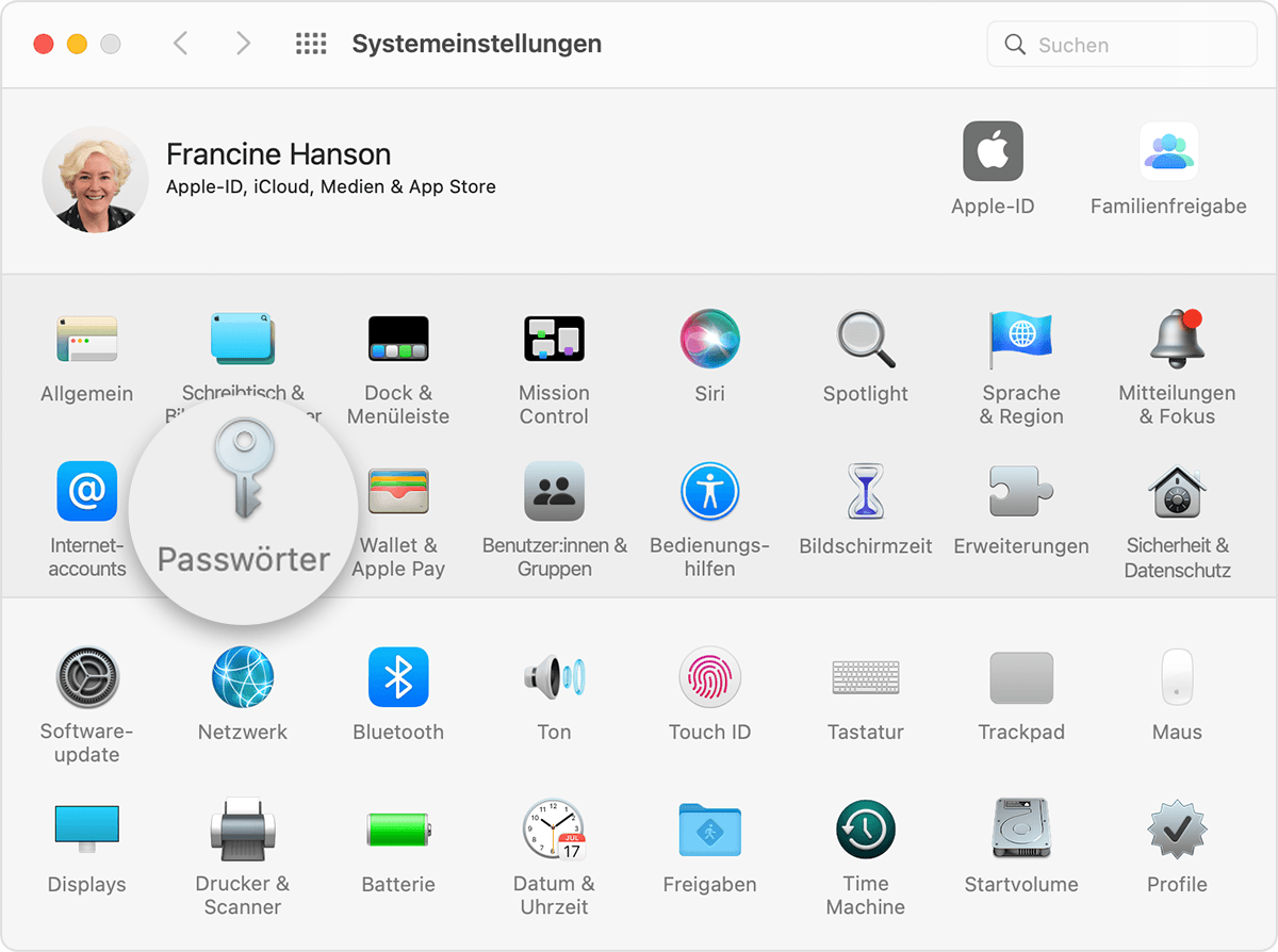 Im macOS-Menü "Systemeinstellungen" befindet sich "Passwörter" neben "Internetaccounts" und "Wallet & Apple Pay".