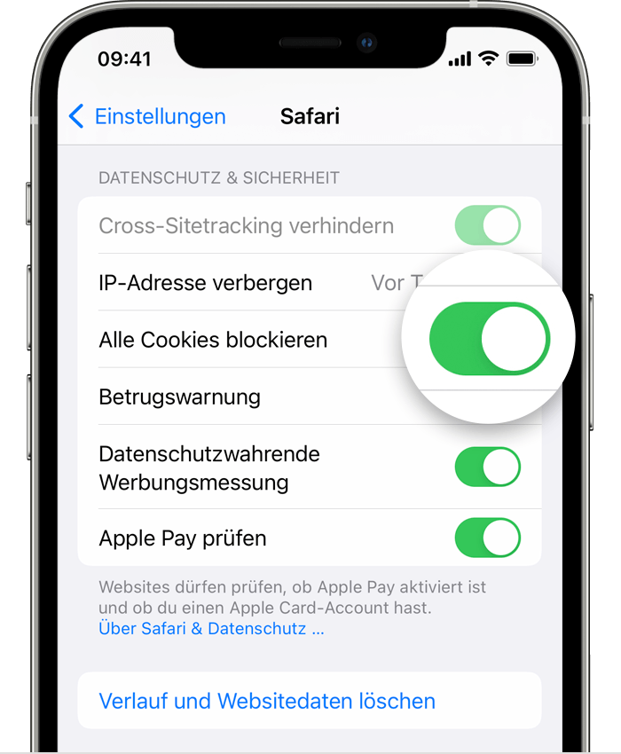 Safari-Einstellungen auf iPhone mit aktivierter Option 