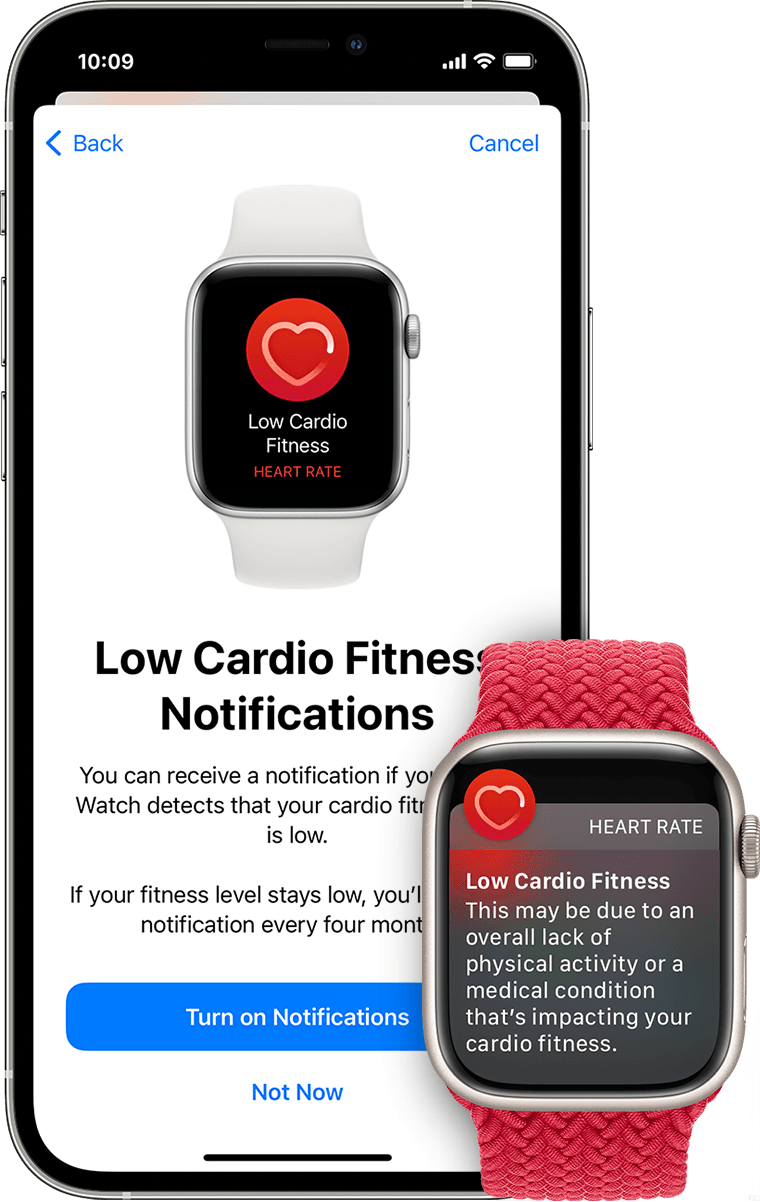 Set up Cardio Fitness Levels – Apple Support (UK)