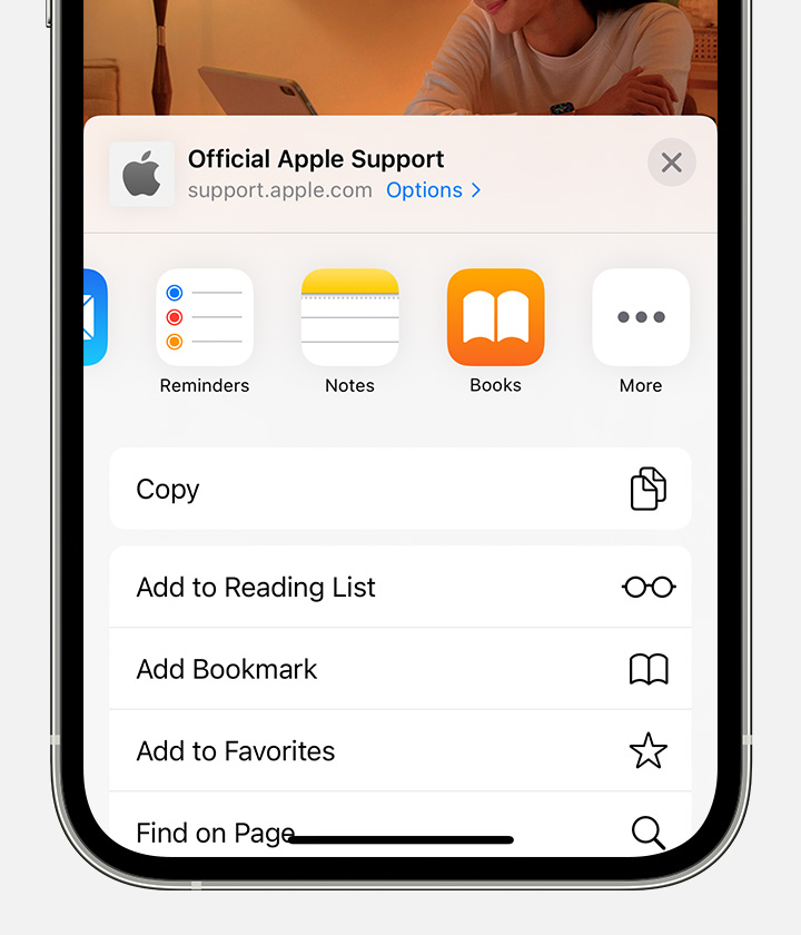 The Apple Books icon