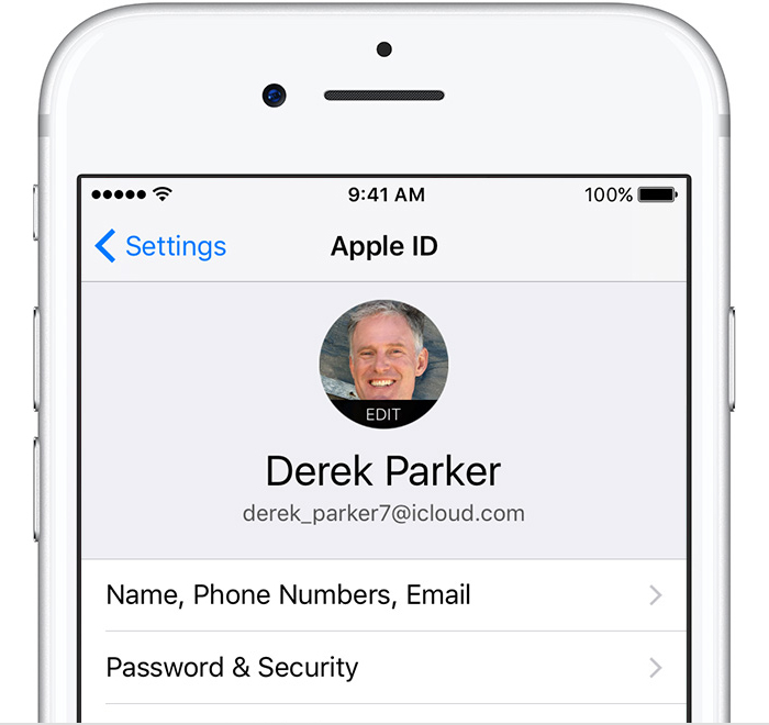 Appel id. Как выглядит Apple ID. Что такое ID на айфоне.