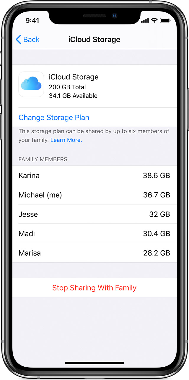 family sharing icloud storage cost