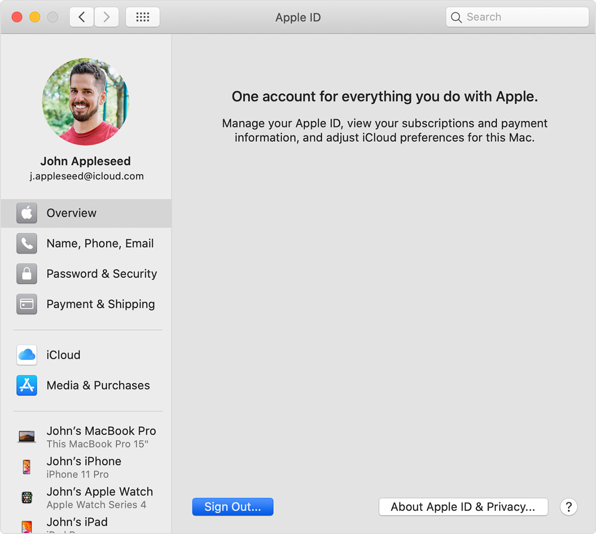 Sign out of iCloud on your iPhone, iPad, iPod touch, Apple TV, or Mac -  Apple Support