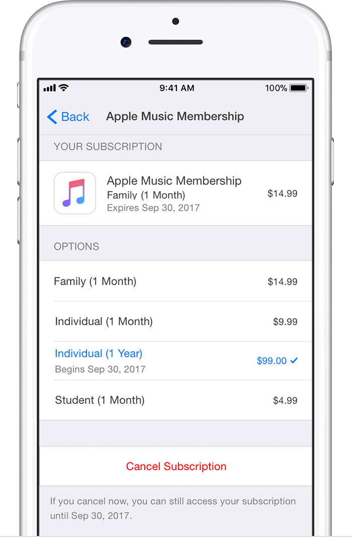 manage subscriptions iphone