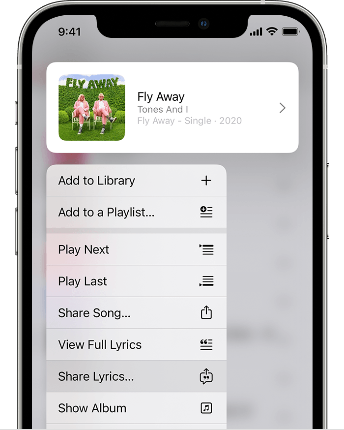 See lyrics and sing in Apple Music on your iPhone or iPad - Apple Support