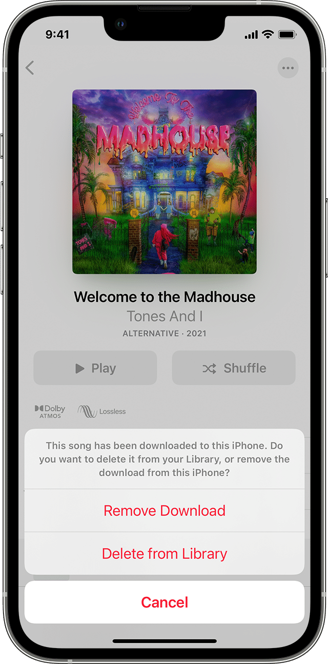 Parinktys „Delete from Library“ (ištrinti iš bibliotekos) arba „Remove Download“ (pašalinti atsisiuntimą) programoje „Apple Music“ „iPhone“, „iPad“, „iPod touch“ arba „Android“ įrenginyje