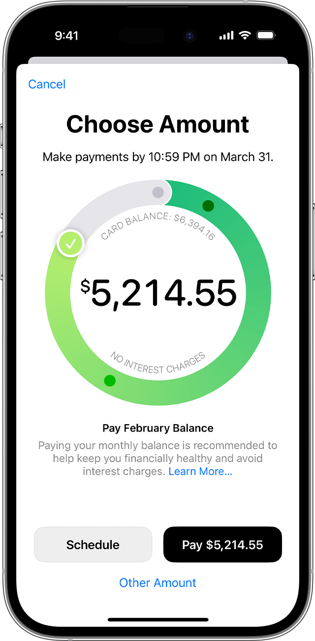Payment wheel on an iPhone showing the total monthly balance amount