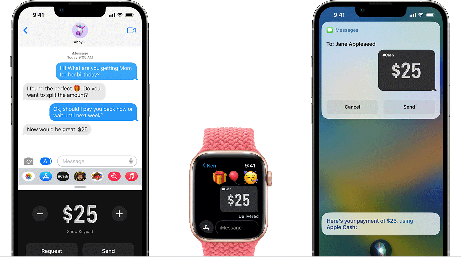 Sending money with Apple Pay