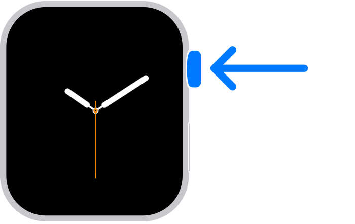 Apple Watch showing the Digital Crown